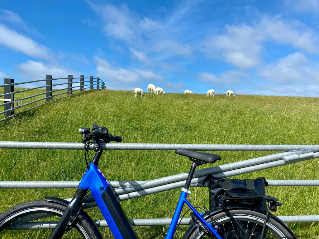 A blue electric bike parked against a fence with sheep grazing in a sunny countryside landscape.