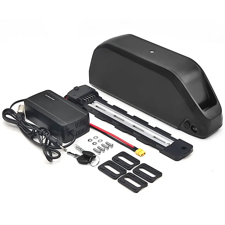 Polly ebike battery