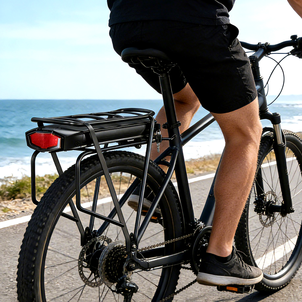 rear rack ebike battery